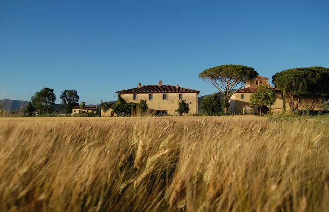 Cortona Resort - Le Terre Dei Cavalieri - Foto 77