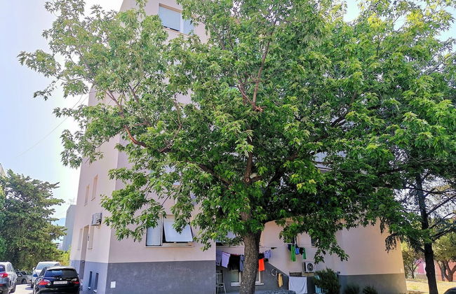 Apartment Ileora - Photo 4