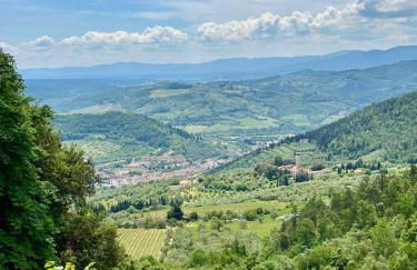 Agriturismo Tassinaia - Foto 40