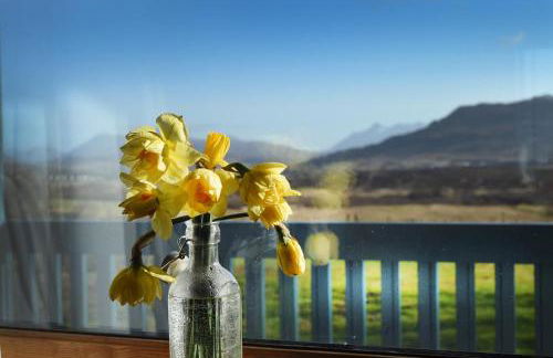 Rowan Cottage Self Catering - Foto 11