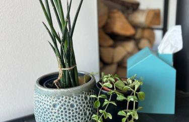 Haus-Villa Moderne Ferienwohnung in Wallersdorf-Haidlfing - Foto 13