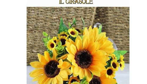 La casa dei gabbiani - Foto 3