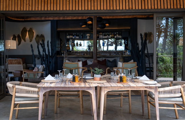 Euphorbia Mashatu - Foto 27