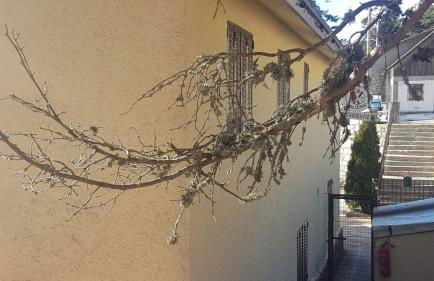 Estudio romántico en Puerto De Navacerrada - Foto 15