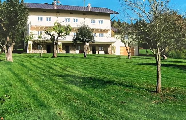 Spacious Villa near Forest in Buchet - Photo 30