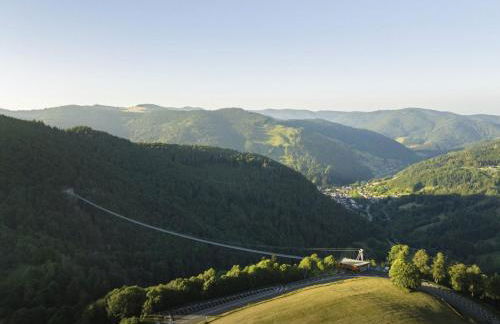 Schwarzwaldhaus Todtnau - Foto 78