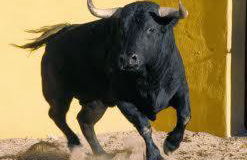 Apartamentos Salamanca Puerta Zamora, Centro, Wifi con salón y 2 dormitorios, Parking - Photo 57