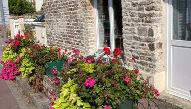 Sauge et Romarin - Foto 3