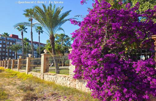 Apartment La Siesta - Foto 25