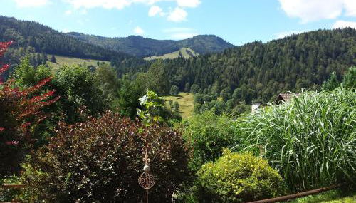 Haus Schäfer - Foto 4, Garden