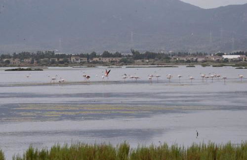 Is candelaus - Foto 33