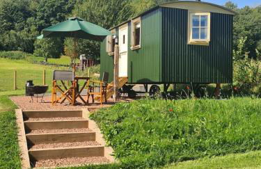 Shepherd's Hut in heart of the Brecon Beacons - Photo 24