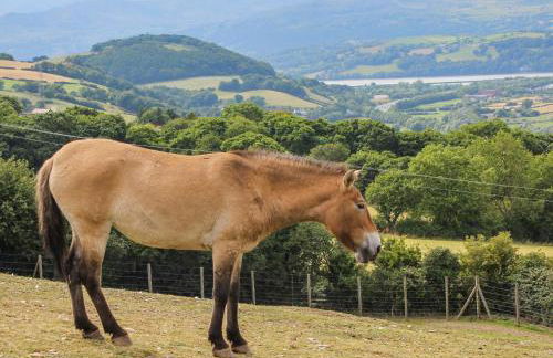 Pine Lodge - Foto 65