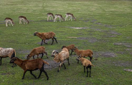 Domek za miastem - agroturystyka Bobrowniki - Foto 13