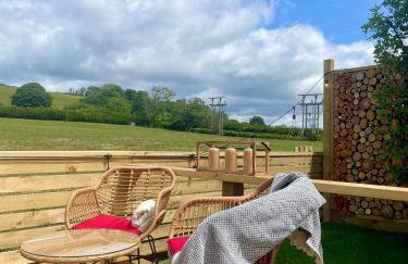 Coedydd - Woods - Foto 20