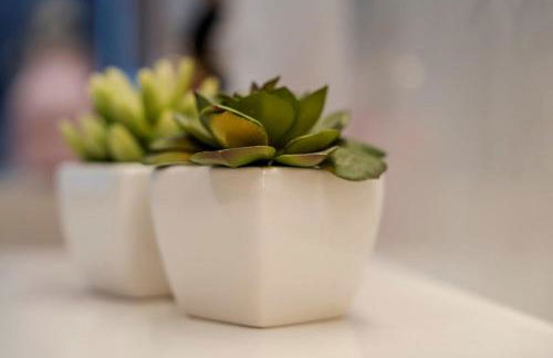 3 M's Braga - Photo 35