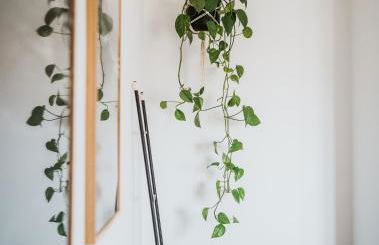 Kodu Lodge - spacious 2 storey coastal home with balcony, sea view, garden & BBQ - Foto 24