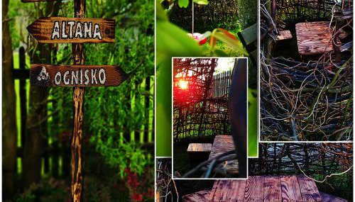 Jurajska47 - trójka - Foto 2, Garden