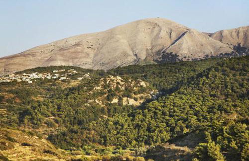 Rustic House Smaro - Foto 29