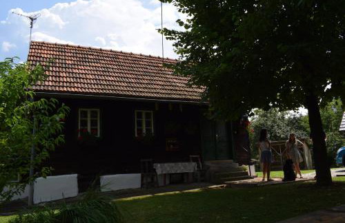 Holiday home Hižica v plavem trnacu - Foto 31