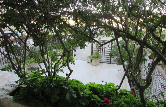 Villa Bouganville - Photo 11