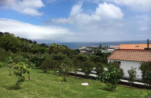 Summer house with BBQ and Garden - Foto 34