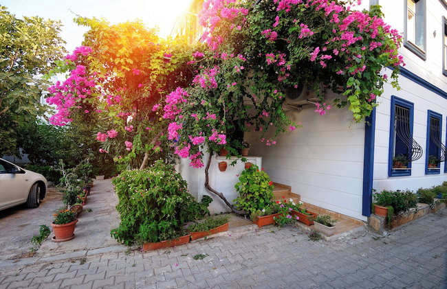 Kaya Apart Datca - Foto 63