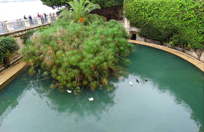 Tour privado por Ortigia - Foto 5