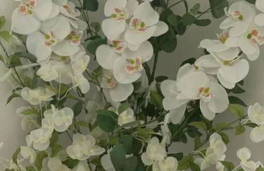 Cosy bungalow with views, walks, garden & parking. - Foto 42