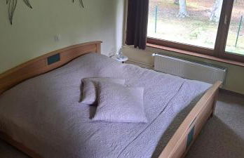 Ferienwohnung Am See mit kleinem Boot und 3er Kajak und 2 SUP - Foto 35