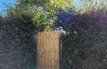 Squirrels' Drey - Foto 30