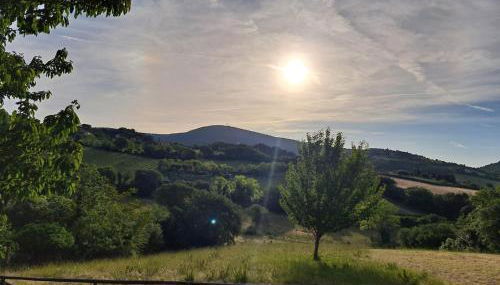 La Tana del Conero - Foto 5, Garden