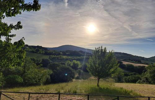 La Tana del Conero - Foto 5