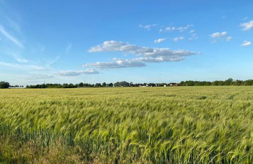 Apartment Meine - Foto 10