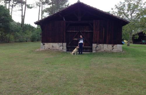 Les Rives du Lac de Léon - Foto 11