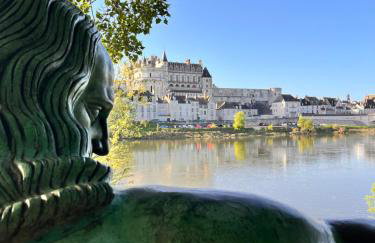 Gite Clos Allegria Amboise, Châteaux de la Loire, Beauval - Foto 4
