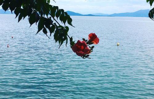 GRAND Boutique Studios - Foto 15