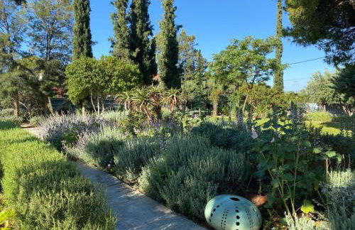 Villa-Agave , by the sea in Porto-Rafti outside Athens - Foto 53