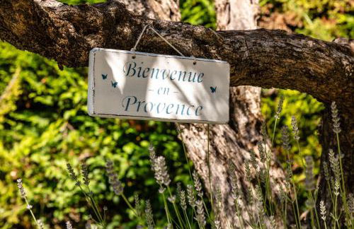 Mas Provençal Fanny - Foto 16