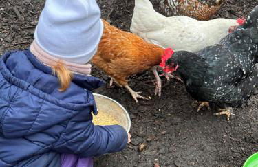 Hof Baden, Ferienwohnung - Foto 7