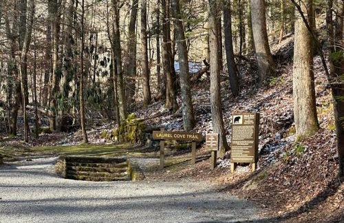 Park Ave Laurel Cove, Bell Theatre, ARH, Corbin Arena, & LMU - Foto 23