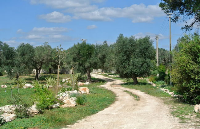 Agriturismo Villa Coluccia - Foto 41