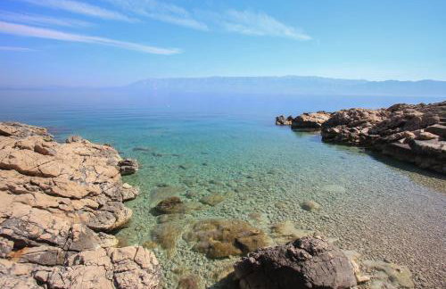 Robinson Merlot - Foto 19