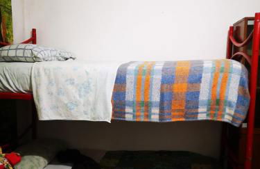 Pinnettu sardo casa di campagna in ecosistema insetti e animaletti simpatici in condivisione,Leggere attentamente Prima di prenotare - Foto 16