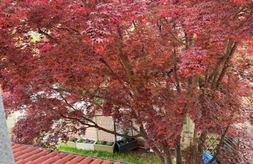 Casa dell'Acero rosso - Photo 39