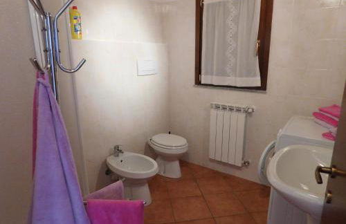 Rosmarino 2 - Foto 17