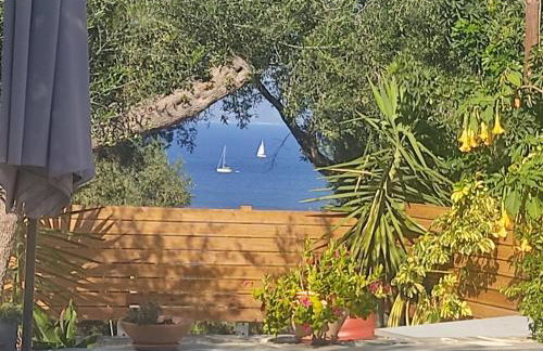 Suite Home Villa Paxos - Photo 41