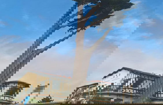 Les Calicots Sanguinet - Photo 22