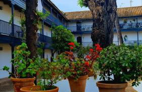 Andalusian Courtyard - Foto 63