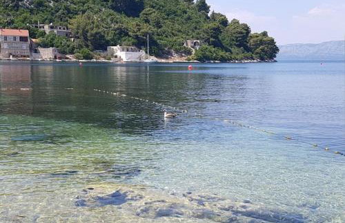 Apartman Robi - Foto 22